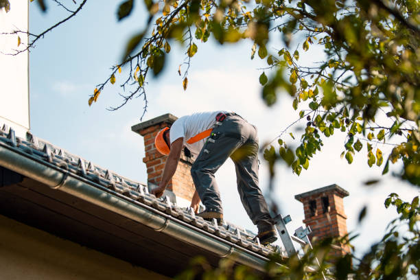 Best Roof Leak Repair  in Willowick, OH